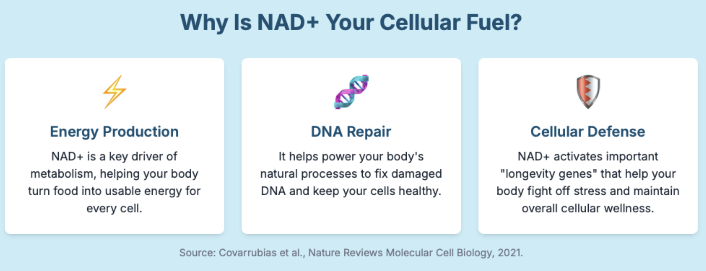 Why Is NAD+ Your Cellular Fuel?